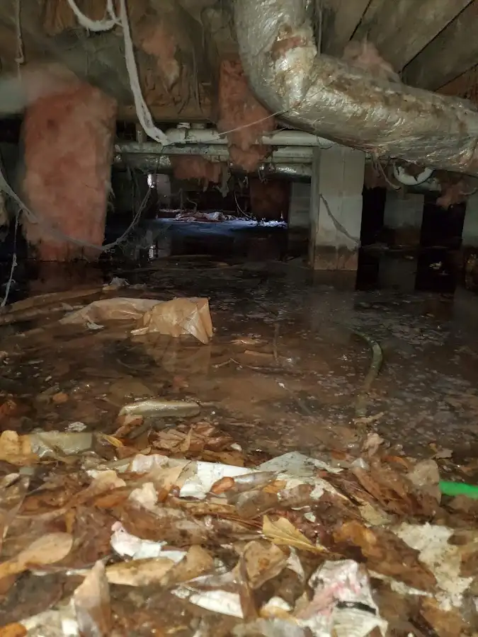 Crawl space flood assessment for Leak Detection & Repair in Oregon City